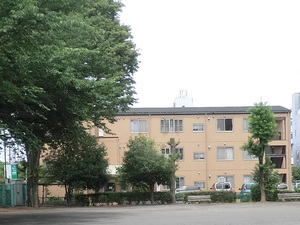 Medium photo 706