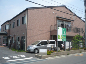 Medium 81 0