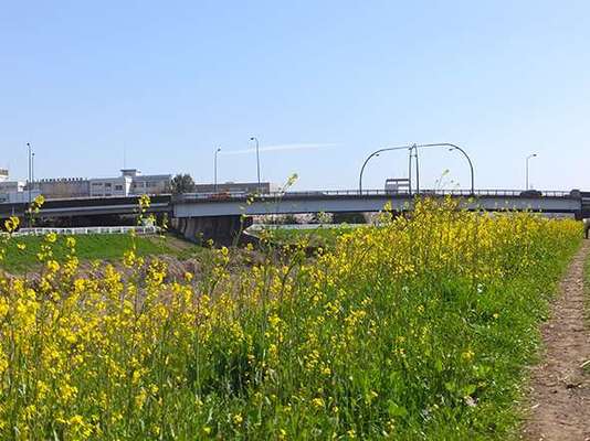 みんなの家・東浦和2 芝川 特徴画像