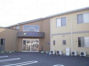 コスモス川原